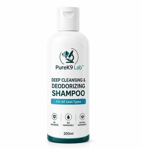 Home shampoo webp